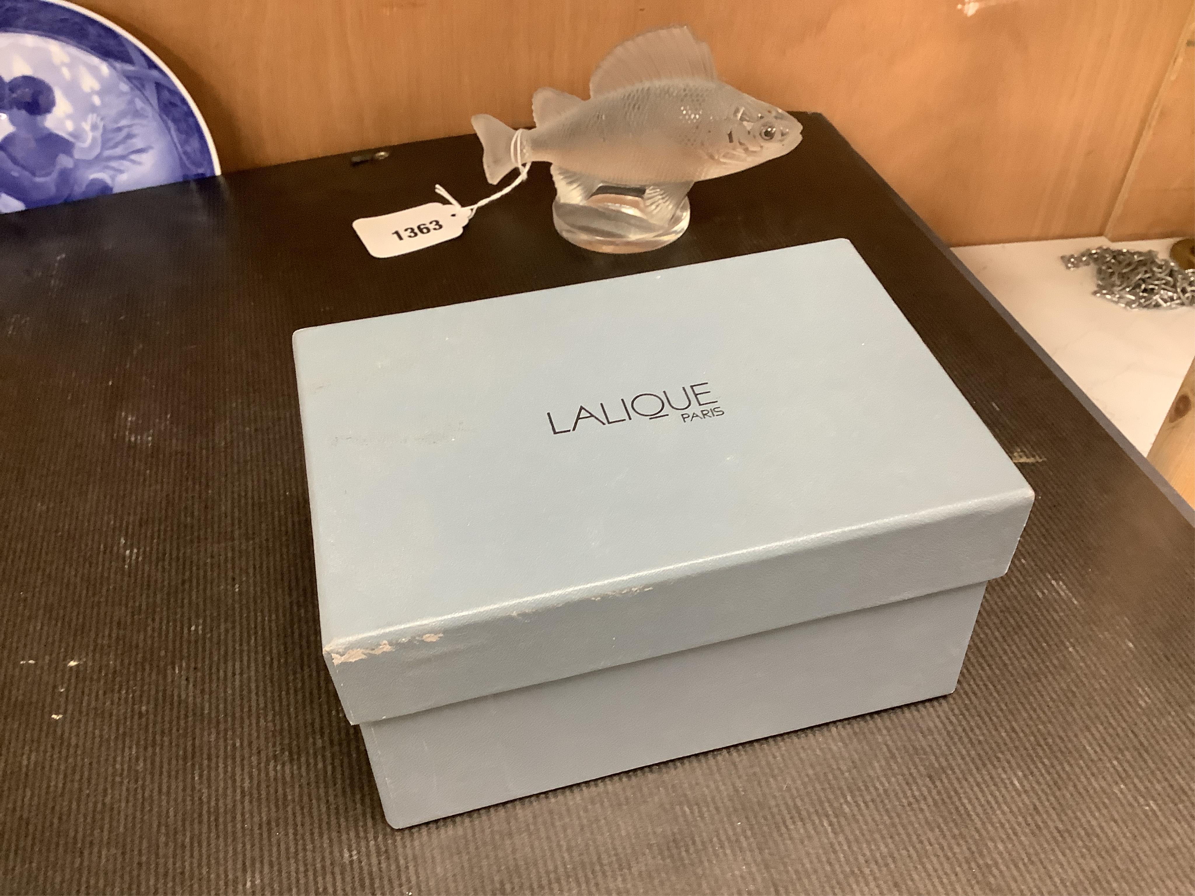 A Lalique glass perch fish car mascot, with original box, 17cm wide